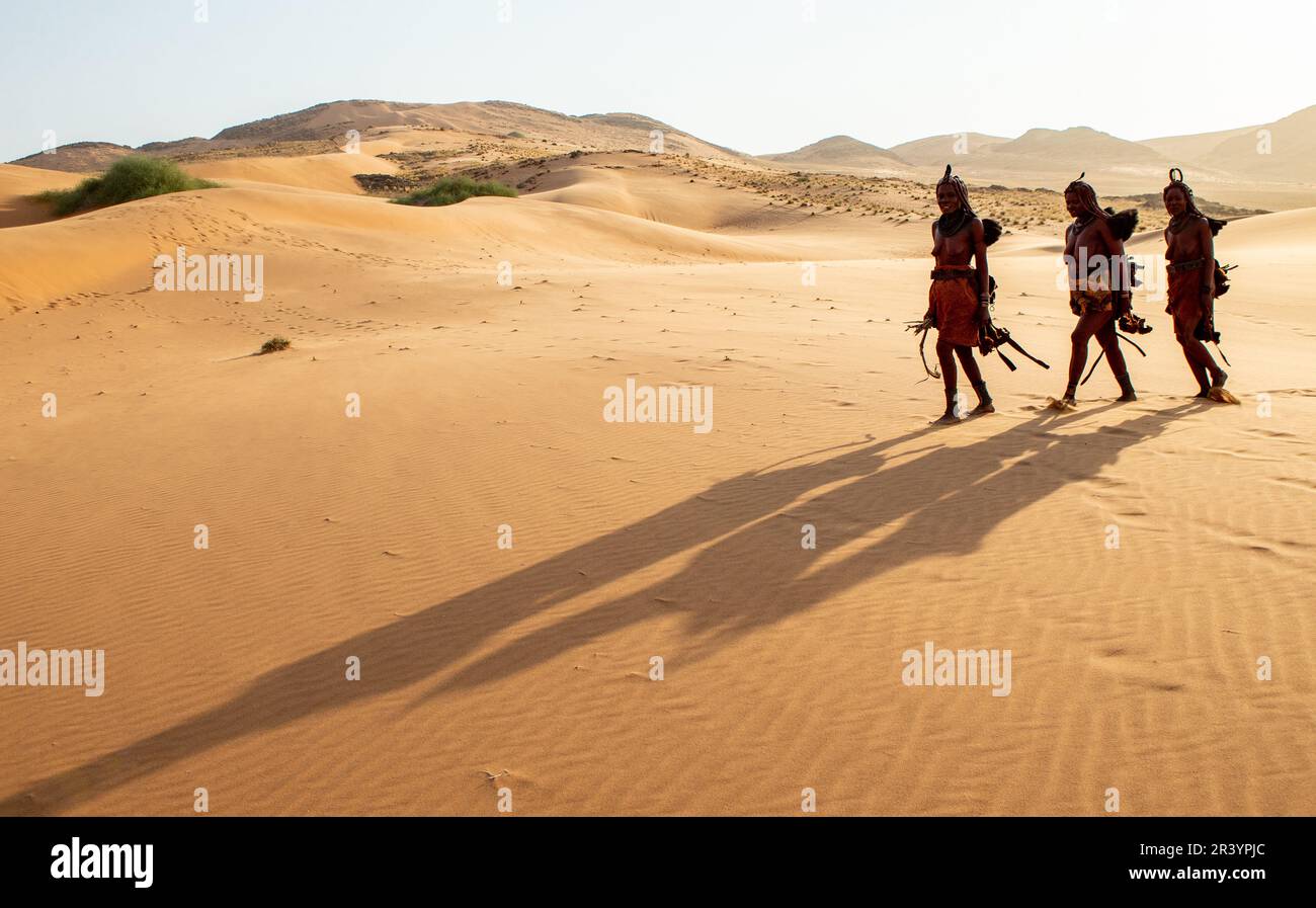 Himba cosmetics hi-res stock photography and images - Alamy