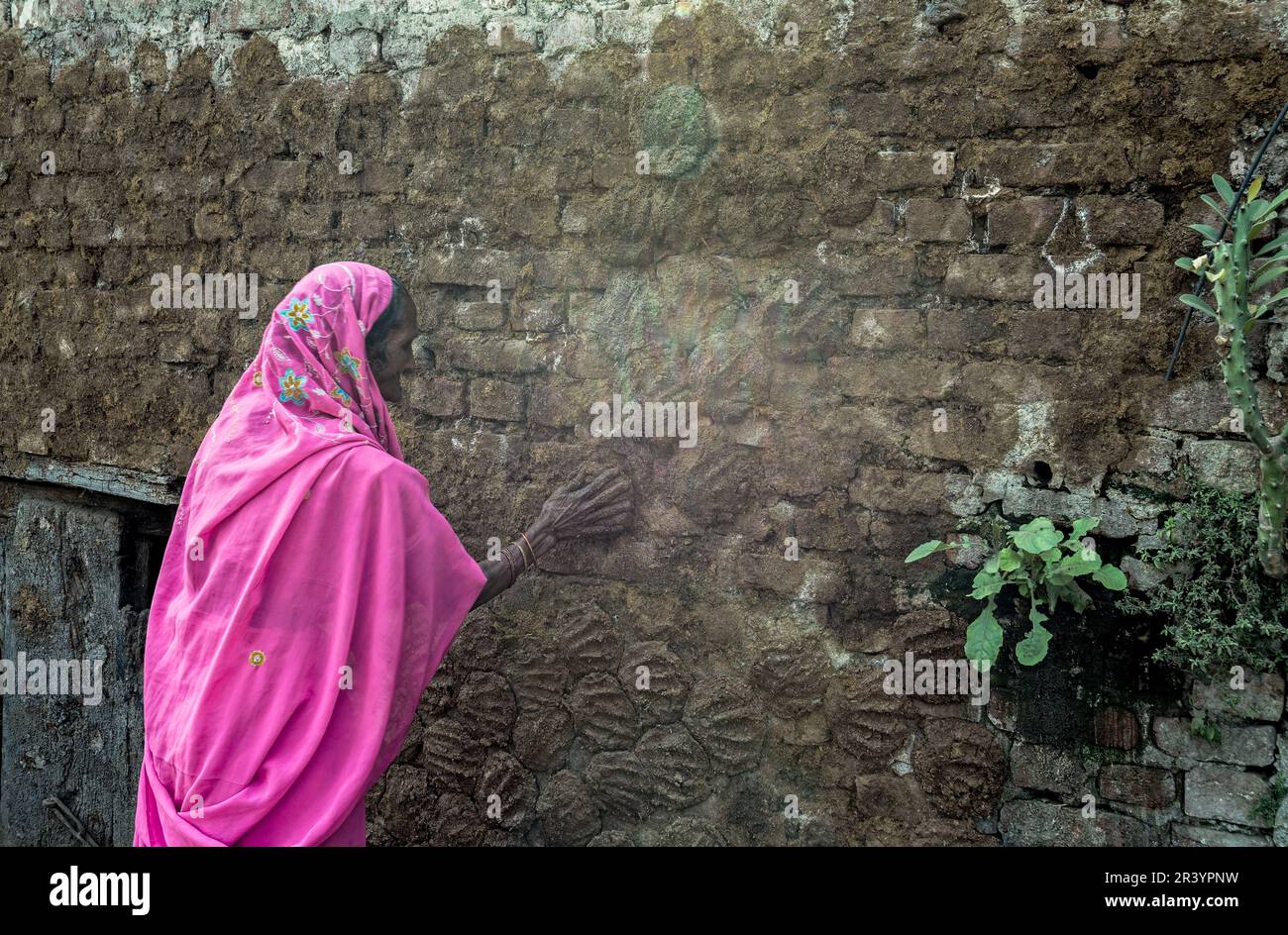 Cow dung drying on wall hi-res stock photography and images - Alamy