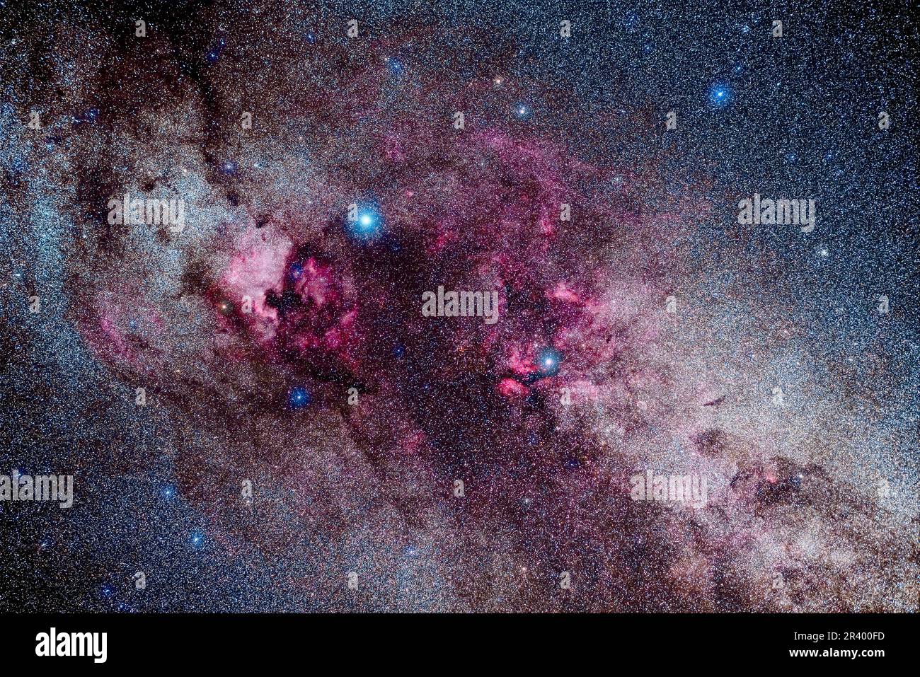 Star clouds and red emission nebulae in central Cygnus. Stock Photo