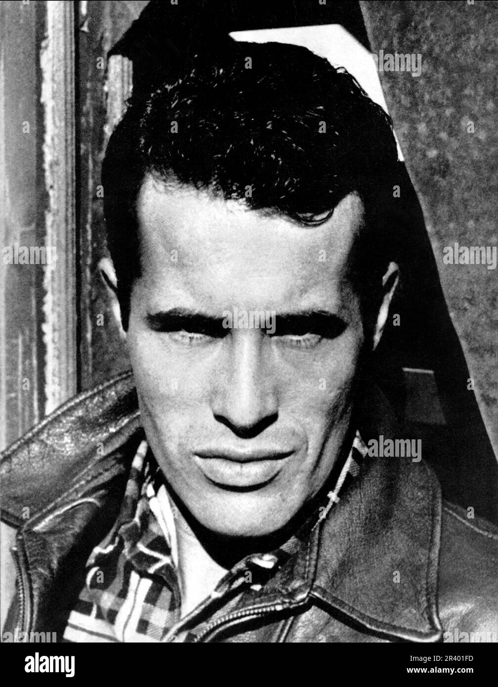 Babylon film 2023 black and white stock photos images alamy