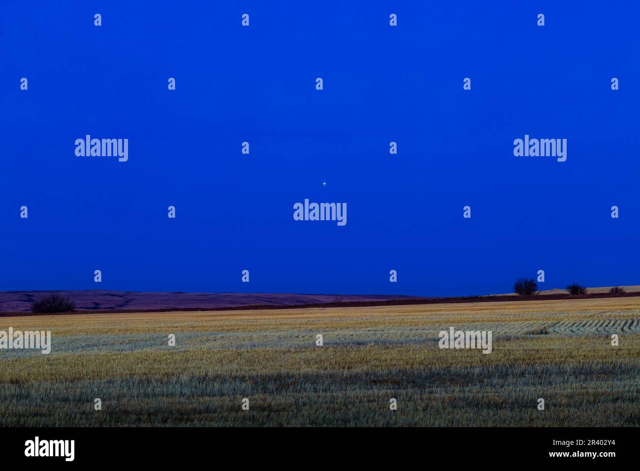 October 12, 2020 - Mars rising over a harvested field in southern Alberta, Canada. Stock Photo