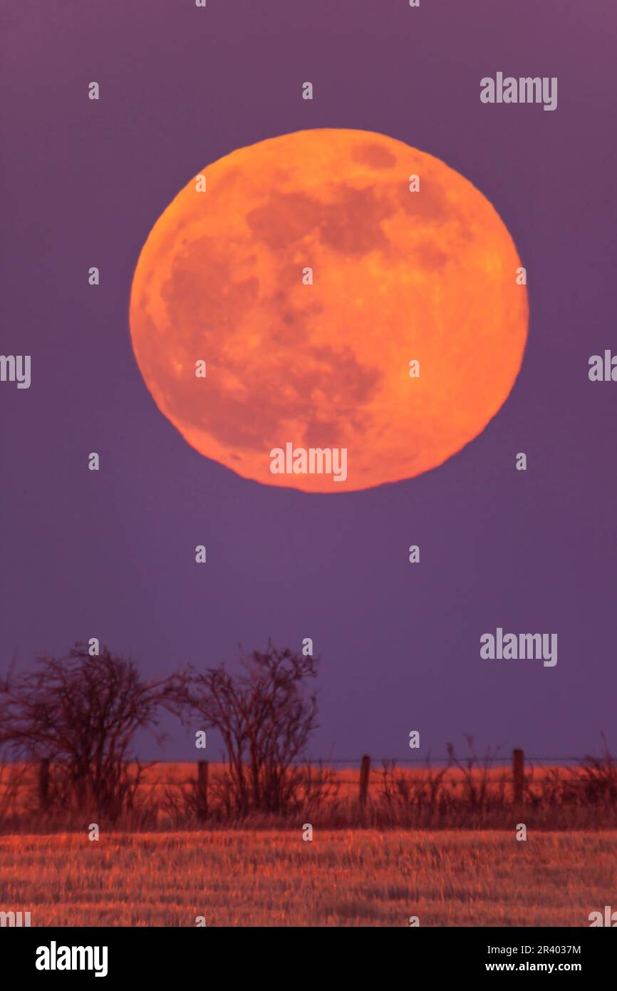 The rising Pink Supermoon of April 26, 2021 Stock Photo Alamy