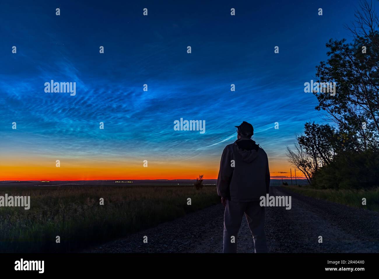 Astronomer observing a grand display of noctilucent clouds from Alberta, Canada. Stock Photo