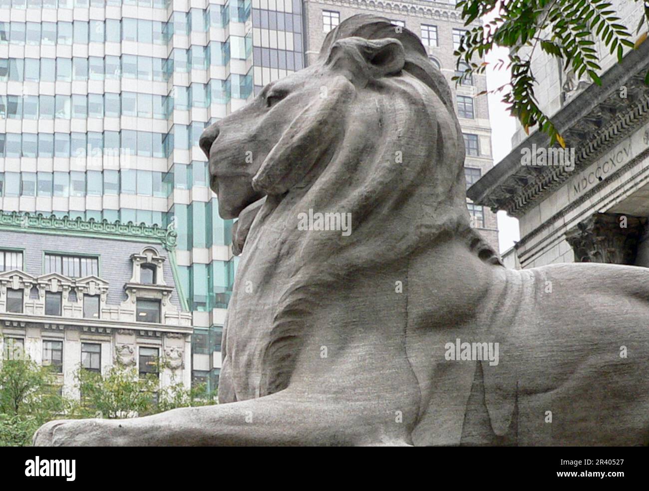 New York Public Library Lion Stock Photo
