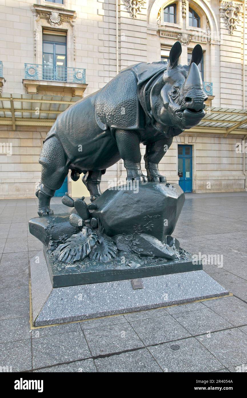 Alfred Jacquemart - Rhinocéros - Musée d'Orsay, Paris, France. Stock Photo