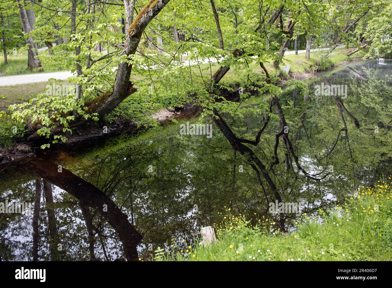 The Kemeri park is one of the oldest and major public parks in Latvia ...