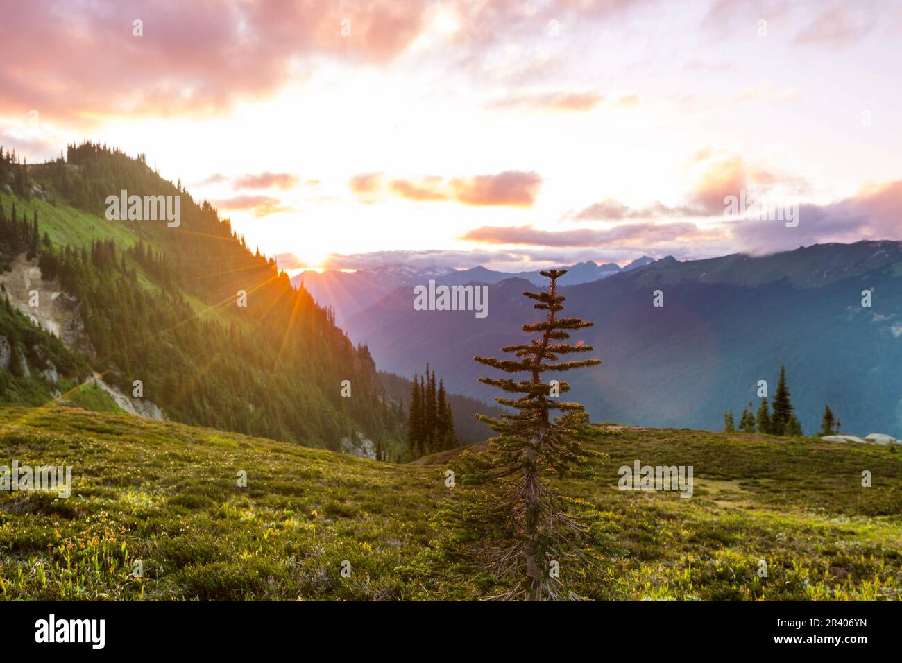 Mt washington summit house hi-res stock photography and images - Alamy