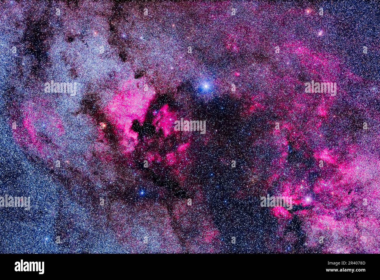 The main complex of nebulosity in Cygnus. Stock Photo