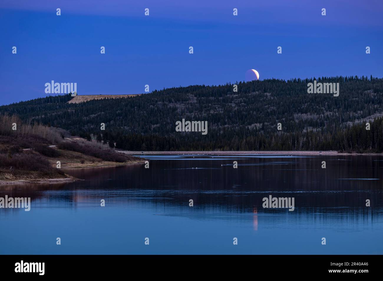 The eclipsed full moon rising over Reesor Lake in Cypress Hills Interprovincial Park, Alberta, Canada. Stock Photo