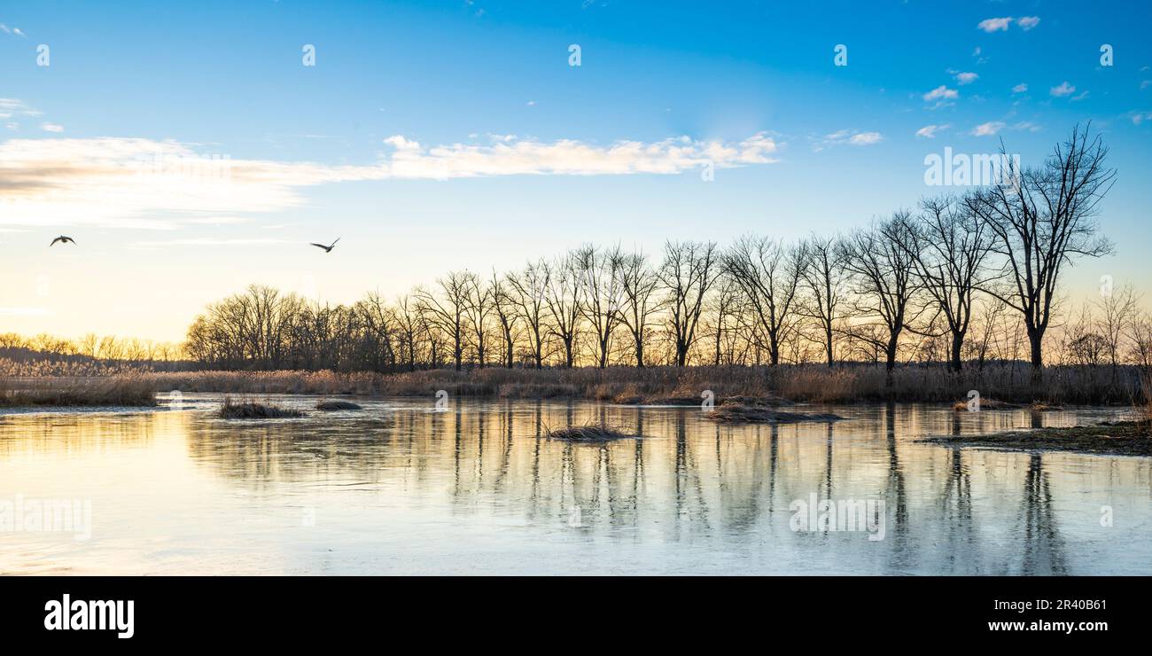 Winter stillness in the Upper Lusatia heath and pond landscape near MÃ¶nau 1 Stock Photo