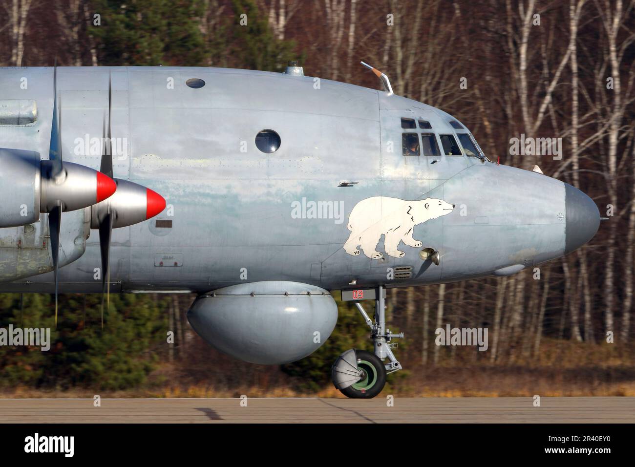 Russian bear aircraft hi-res stock photography and images - Alamy