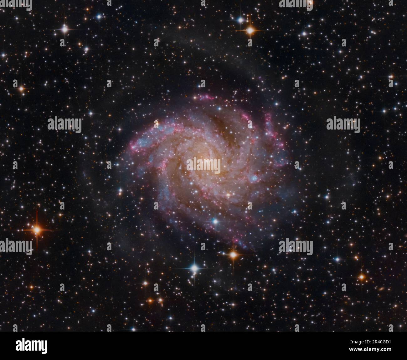 NGC 6946, the Fireworks Galaxy. Stock Photo