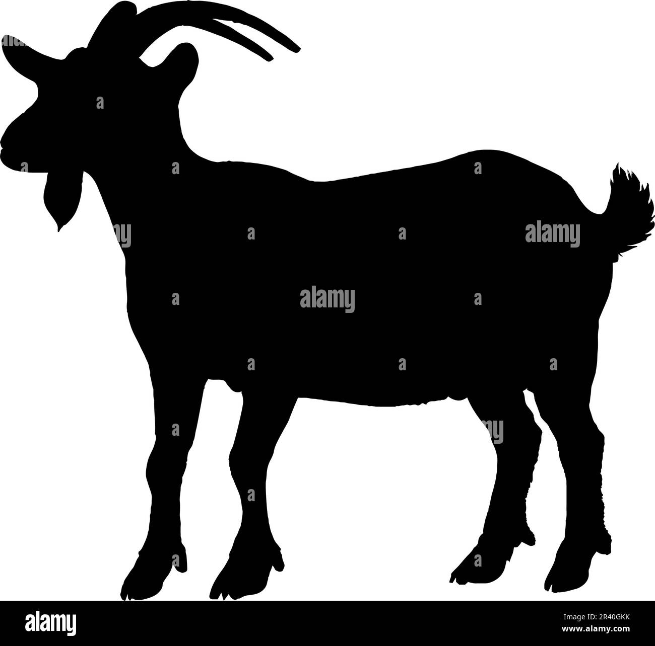 Goat Silhouette isolated on white background. Vector illustration Stock Vector Image & Art Alamy