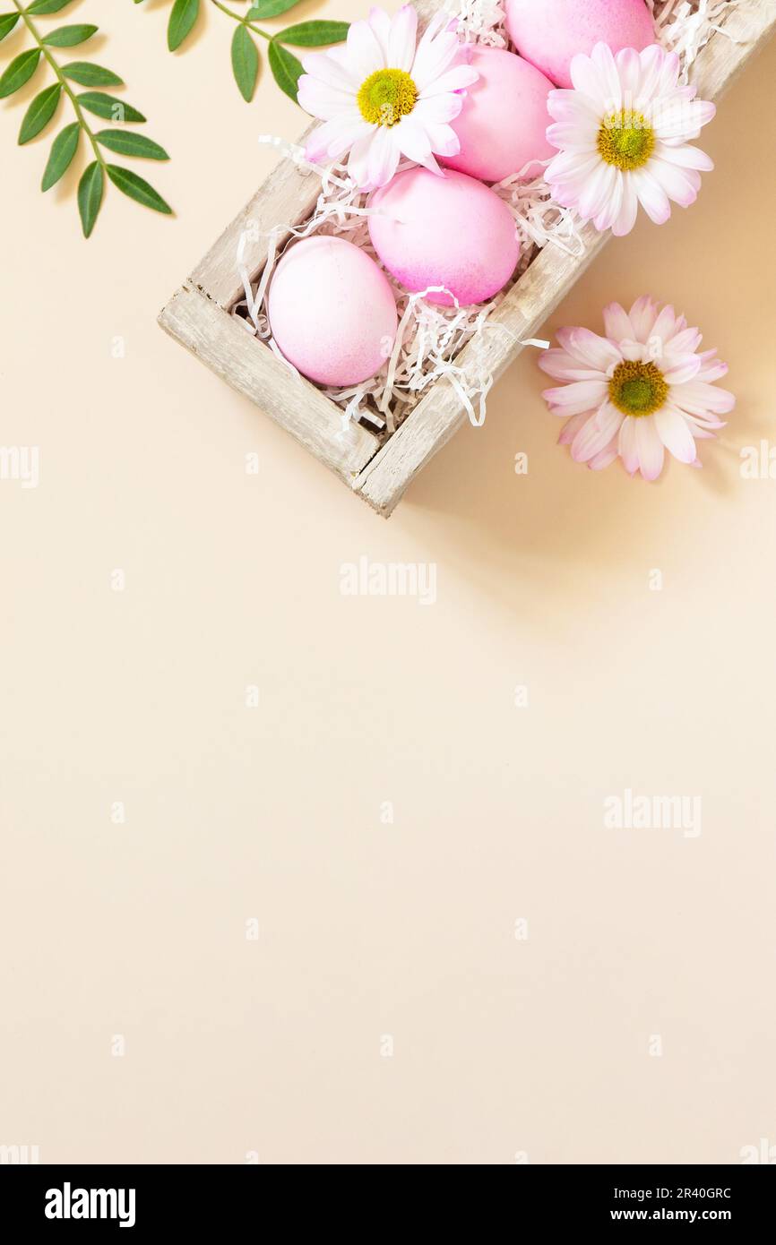 The minimum concept of Easter. Easter Eggs painted pink eggs on trendy pastel background. Top view flat lay. Copy space. Stock Photo
