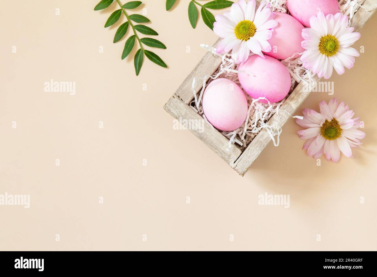 The minimum concept of Easter. Easter Eggs painted pink eggs on trendy pastel background. Top view flat lay. Stock Photo