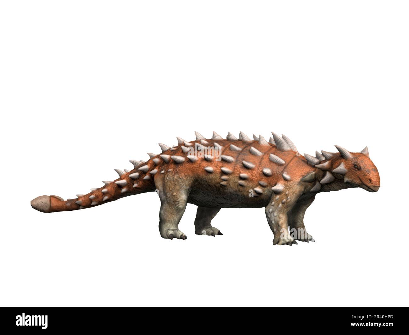 Scolosaurus, an ankylosaurid dinosaur, side view on white background. Stock Photo