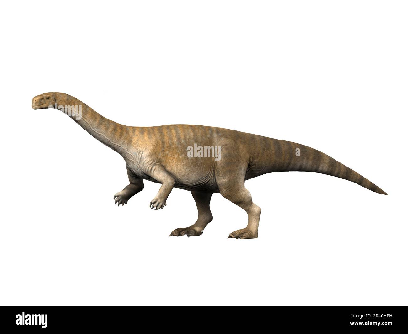 Lufengosaurus dinosaur, Early Jurassic period of China. Stock Photo