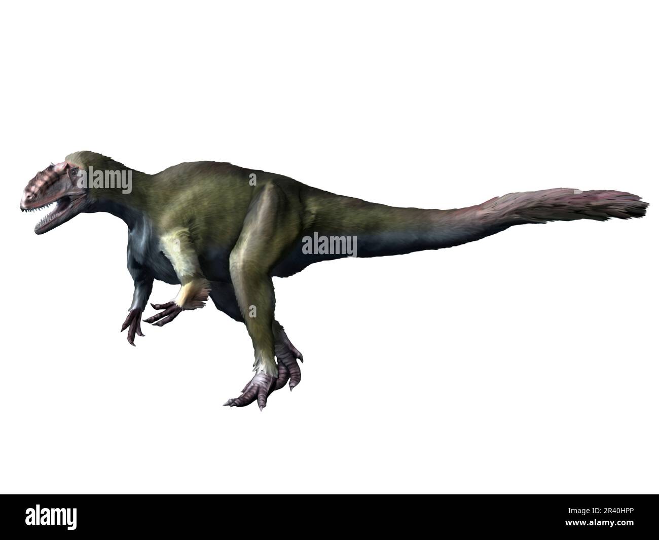 Yutyrannus dinosaur, from the Early Cretaceous of China. Stock Photo