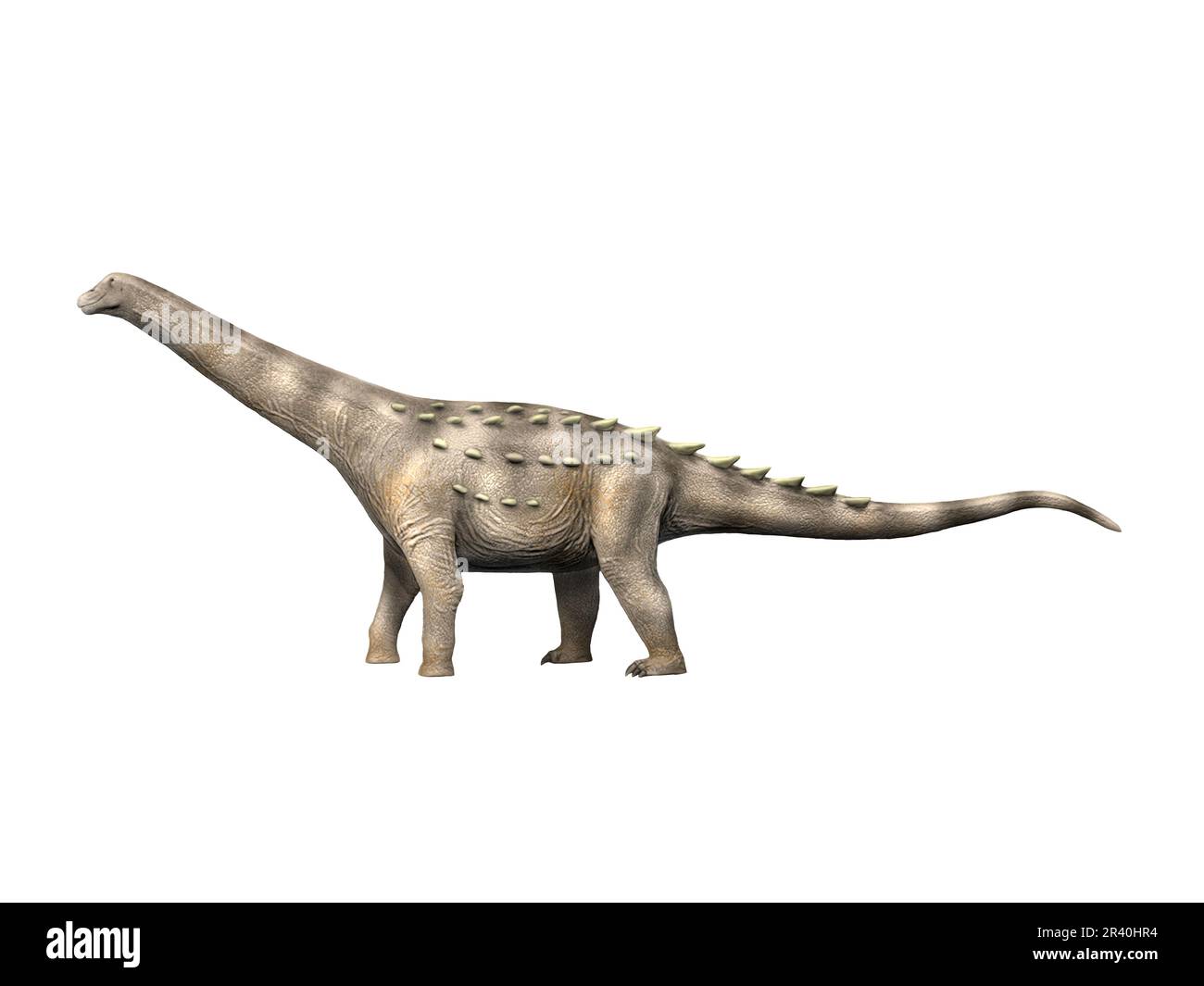 Opisthocoelicaudia, a sauropod dinosaur from the Late Cretaceous period. Stock Photo