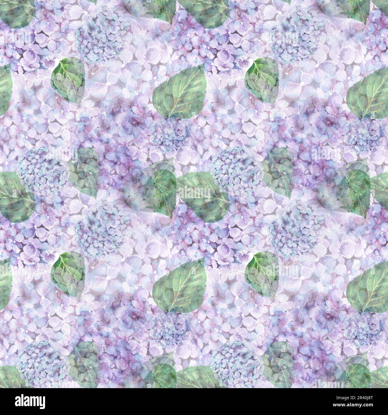 hydrangea flower watercolor patern .Watercolor illustration hydrangea ...