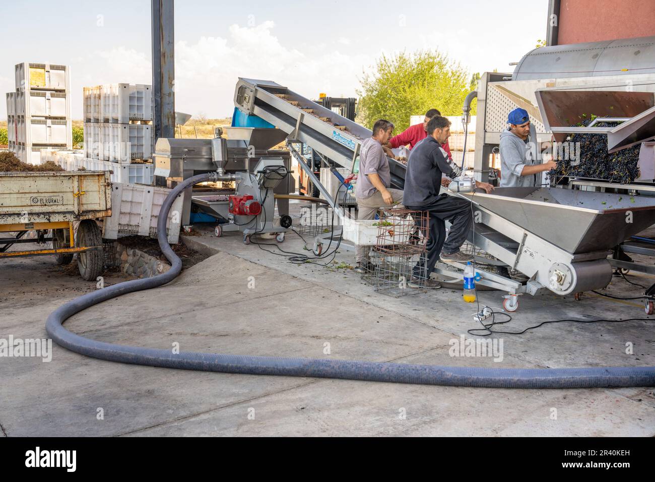 Workers process grapes at the Ferrer Winery in Gualtallary, Tupungato in the Valle de Uco, Mendoza, Argentina.  The hose in front pumps the grape must Stock Photo