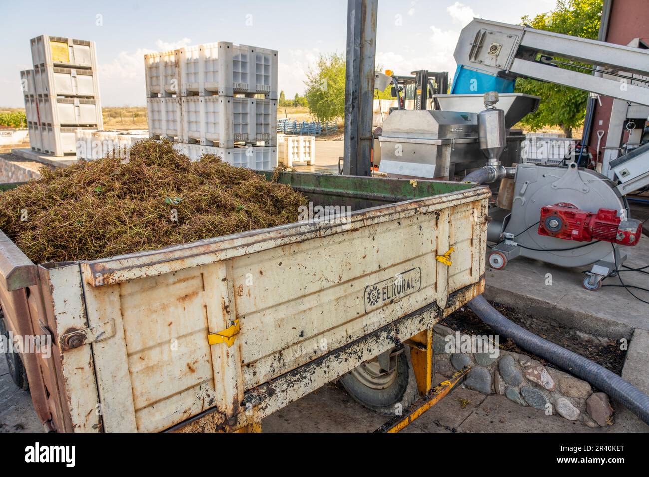 A trailer of discarded grape stems by the desteemer at the Ferrer Winery in Gualtallary, Tupungato, Valle de Uco,  Argentina. Stock Photo