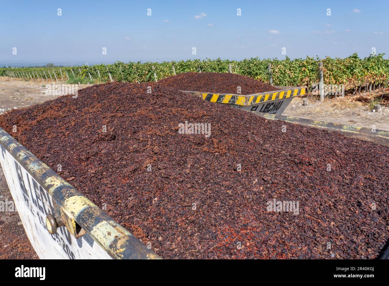 Waste bins of discarded grape skins by the destemmer at the Ferrer Winery in Gualtallary, Tupungato, Valle de Uco,  Argentina. Stock Photo
