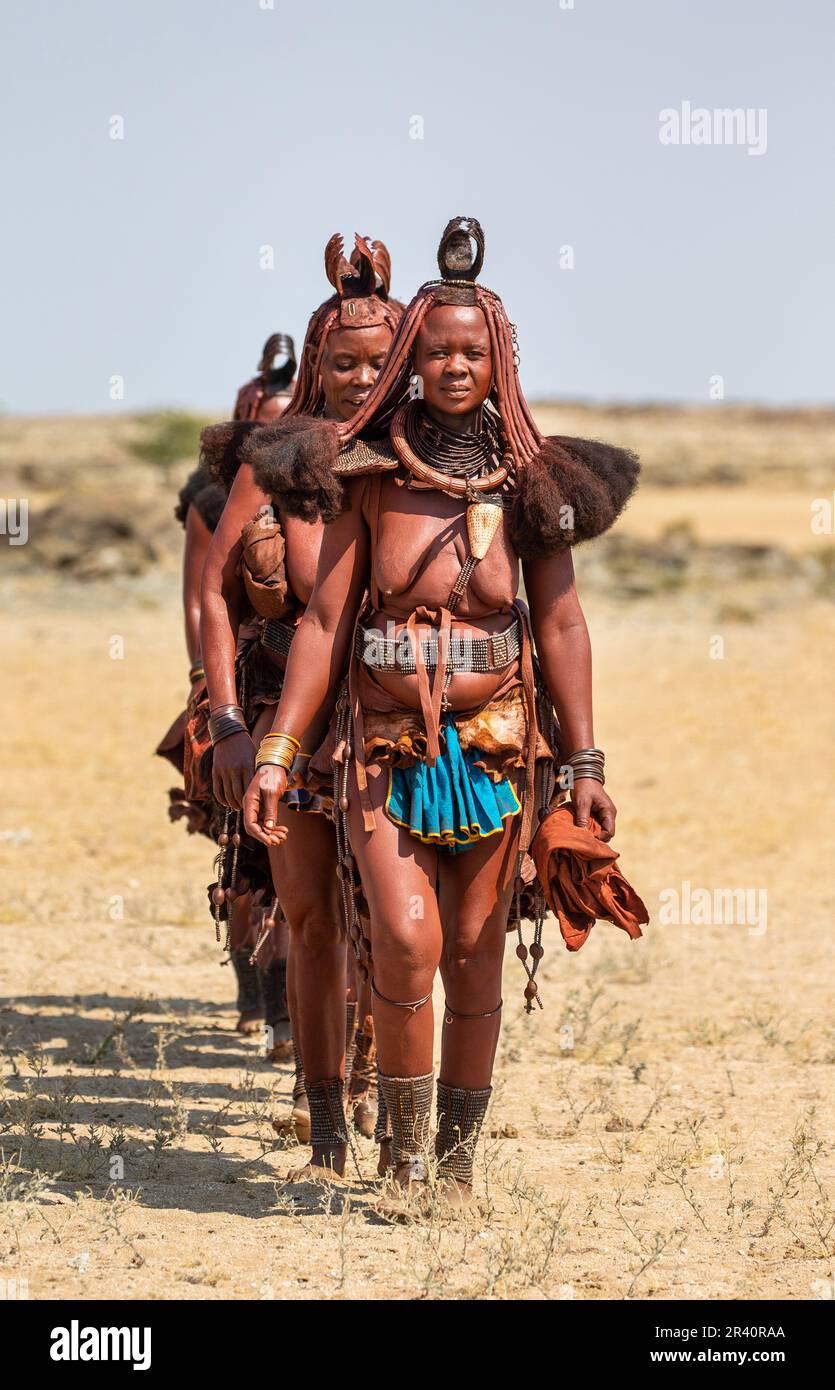 Group of women of the Himba tribe walks through the desert in national  clothes Stock Photo - Alamy