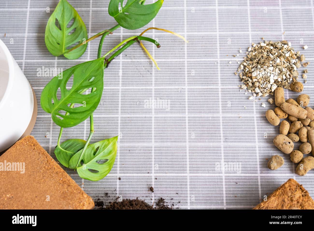 Ingredients for transplanting domestic plants, soil composition