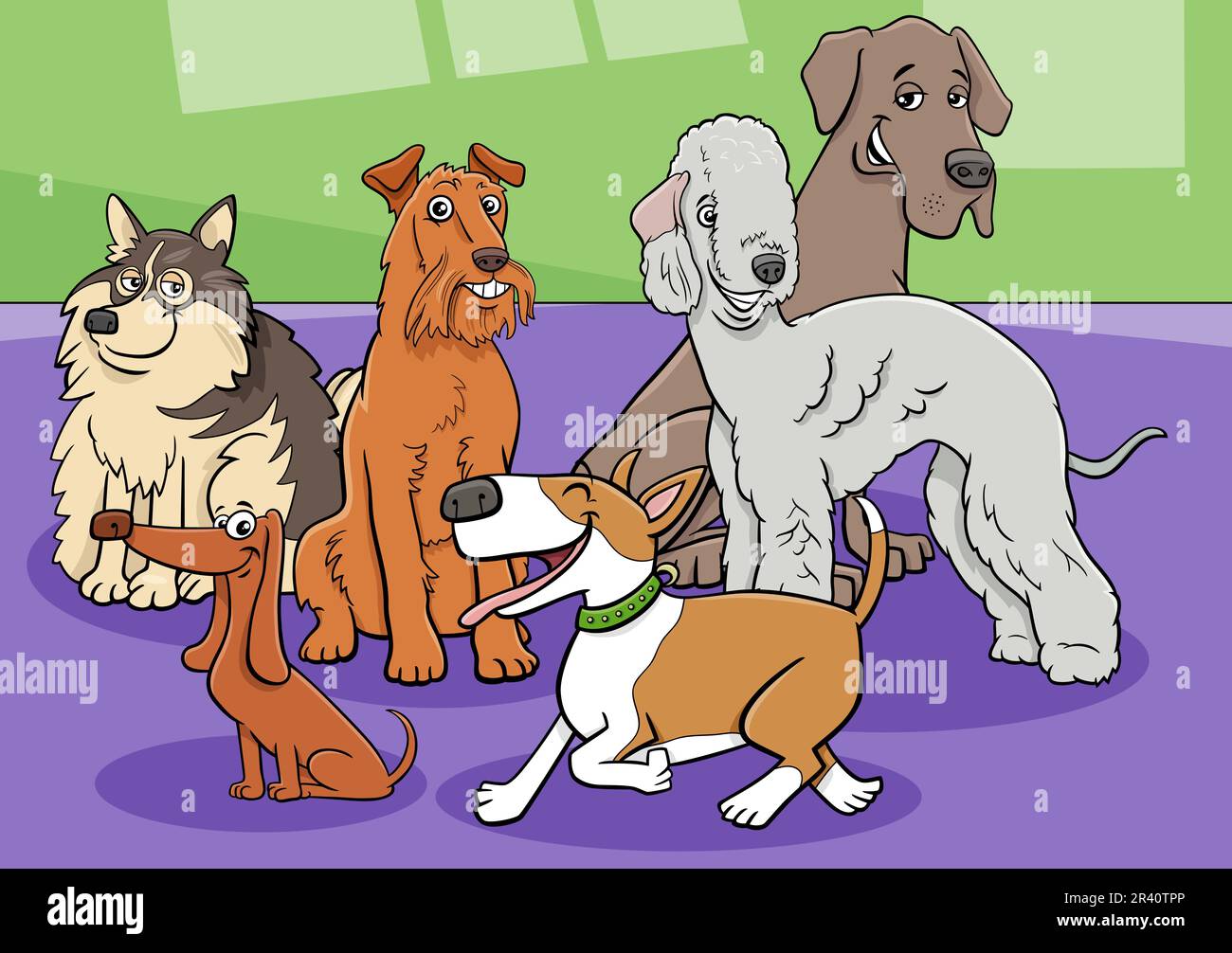 Cartoon illustration of funny purebred dogs and puppies animal characters group Stock Photo