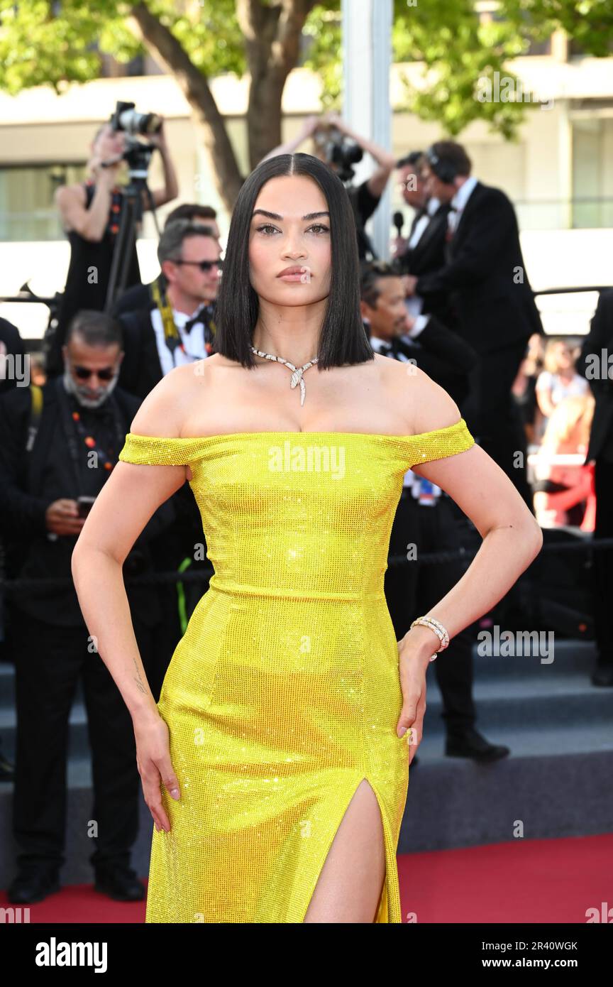 Cannes, France. 14th May, 2023. 76th Cannes Film Festival 2023, Red