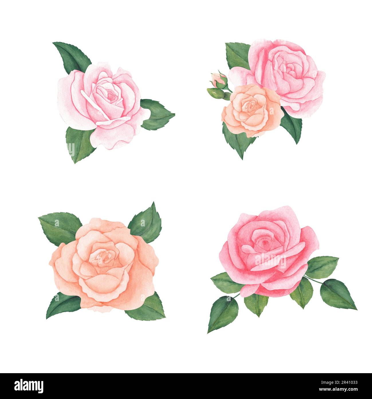 watercolor set of pink peach pastel roses bouquets. illustration for ...
