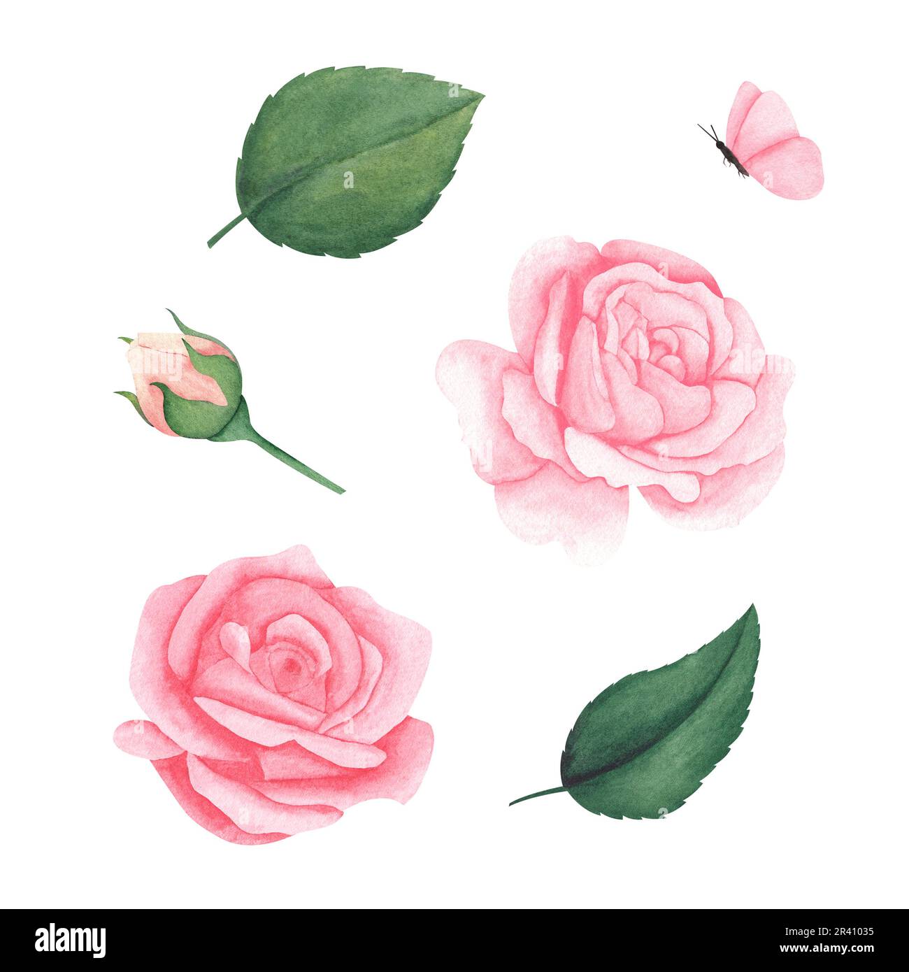 watercolor set of pastel pink peach roses with leaves and butterfly ...
