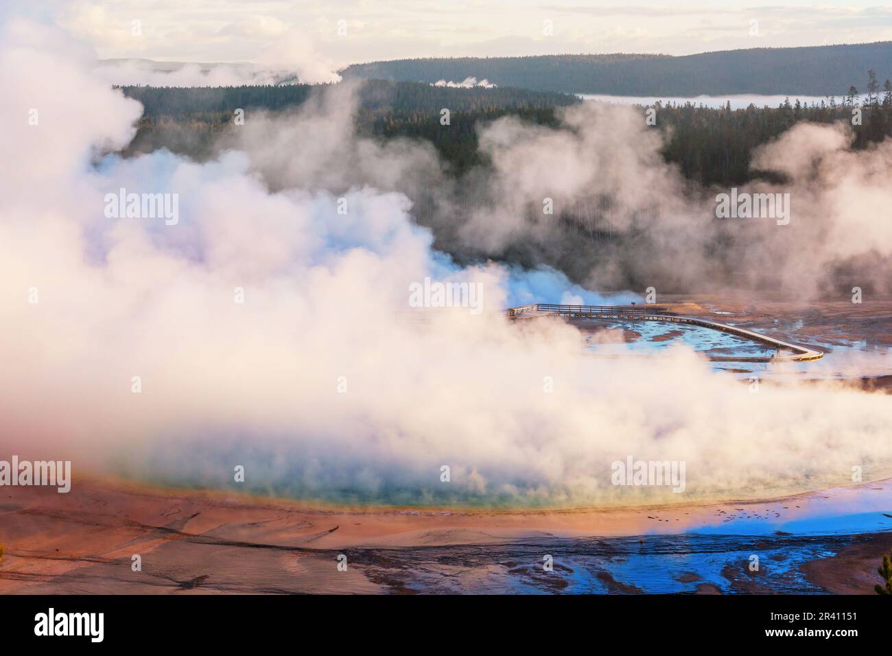 Yellow Flytone Yellowstone environment hi-res stock photography and images - Alamy