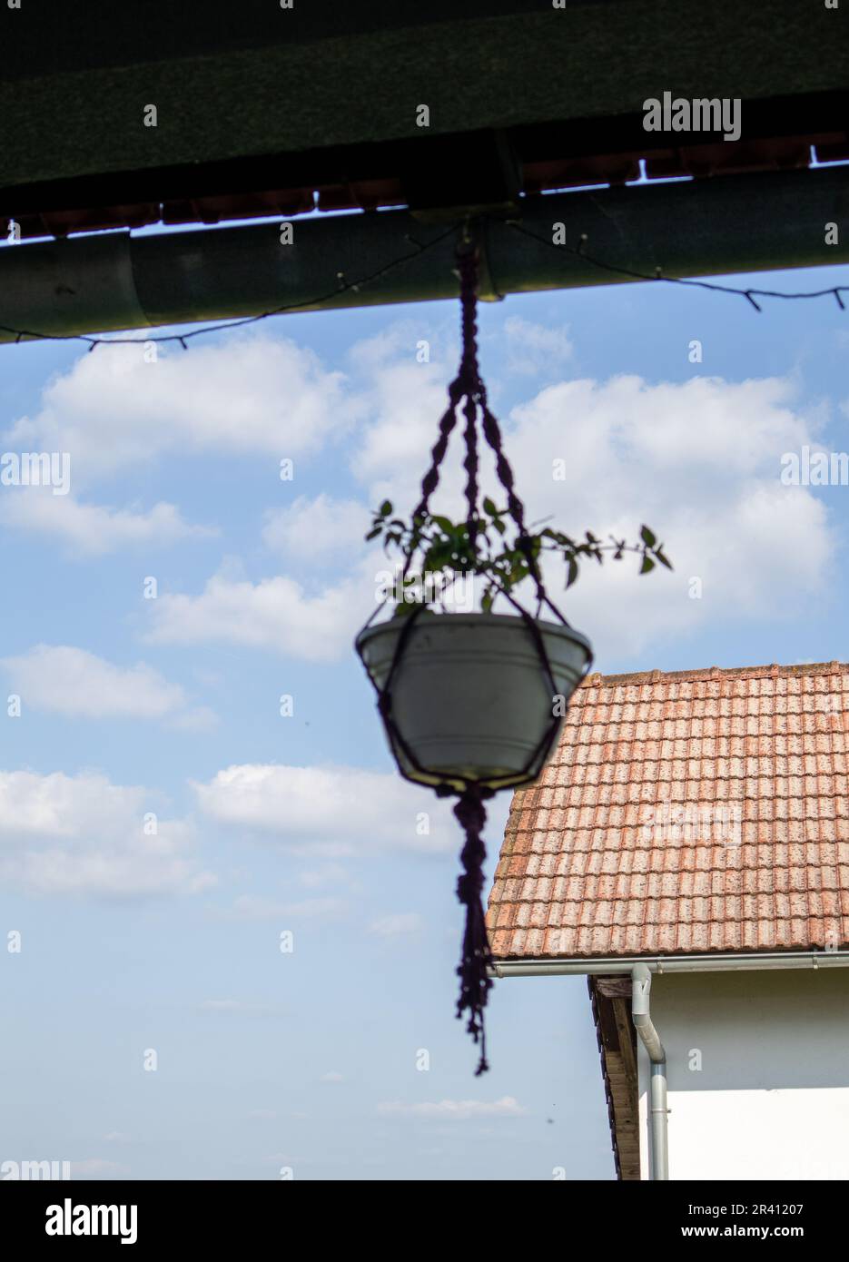 Flower pot hanging on a terrace Stock Photo Alamy