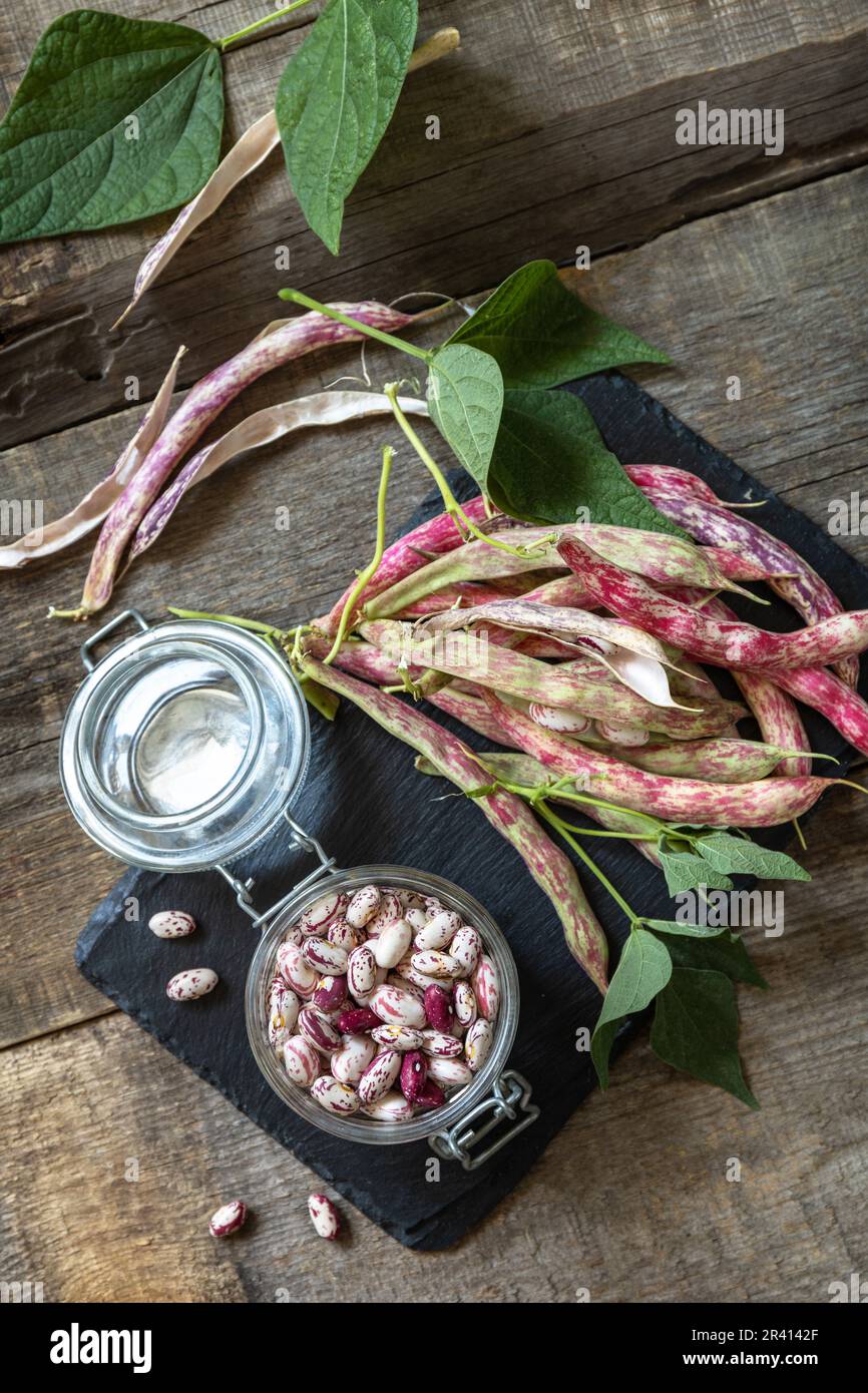 Beans of bean, brown bean (of dried beans) in a glass jar on a rustic ...