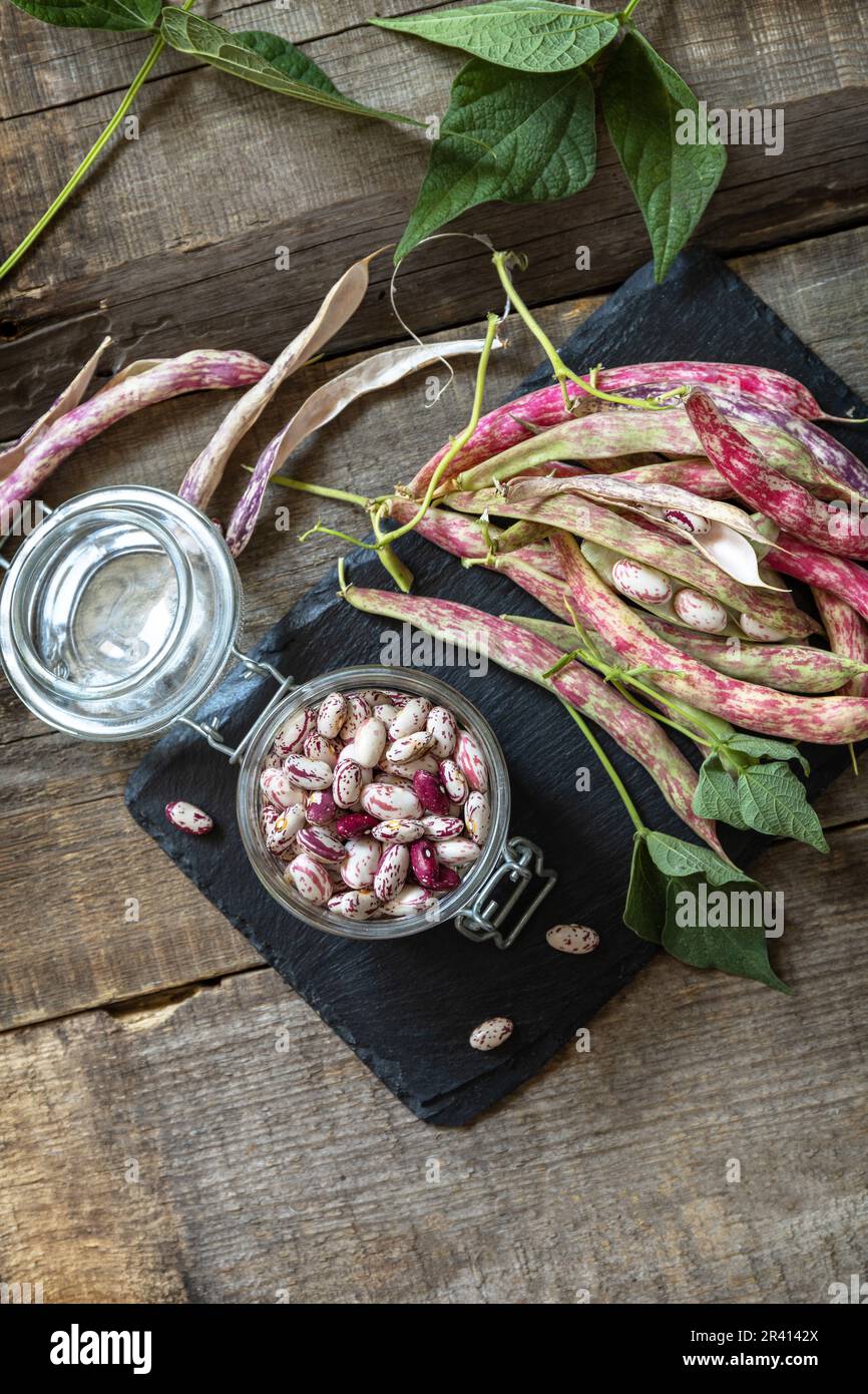 Beans of bean, brown bean (of dried beans) in a glass jar on a rustic ...