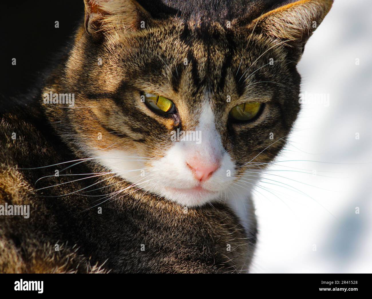 One of my personal fav Stock Photo