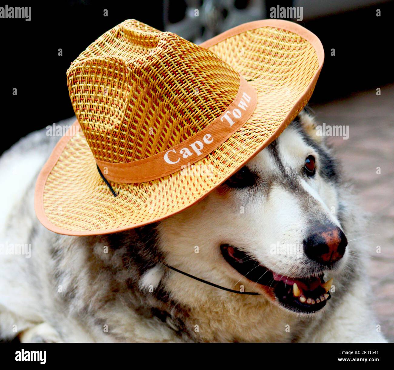 One of my personal fav Stock Photo