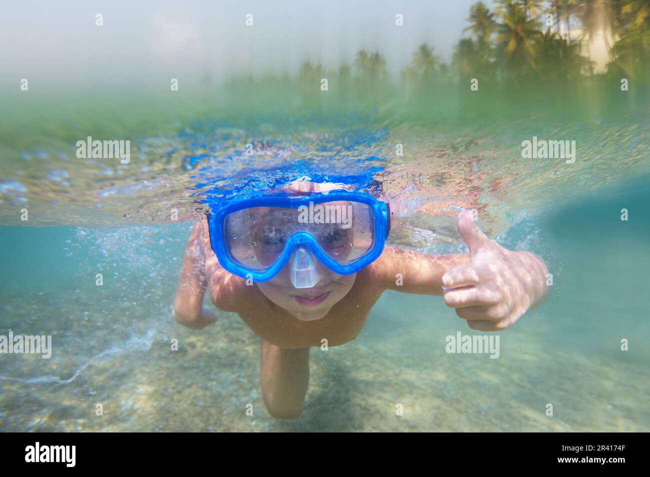 Tropical heat hi-res stock photography and images - Alamy