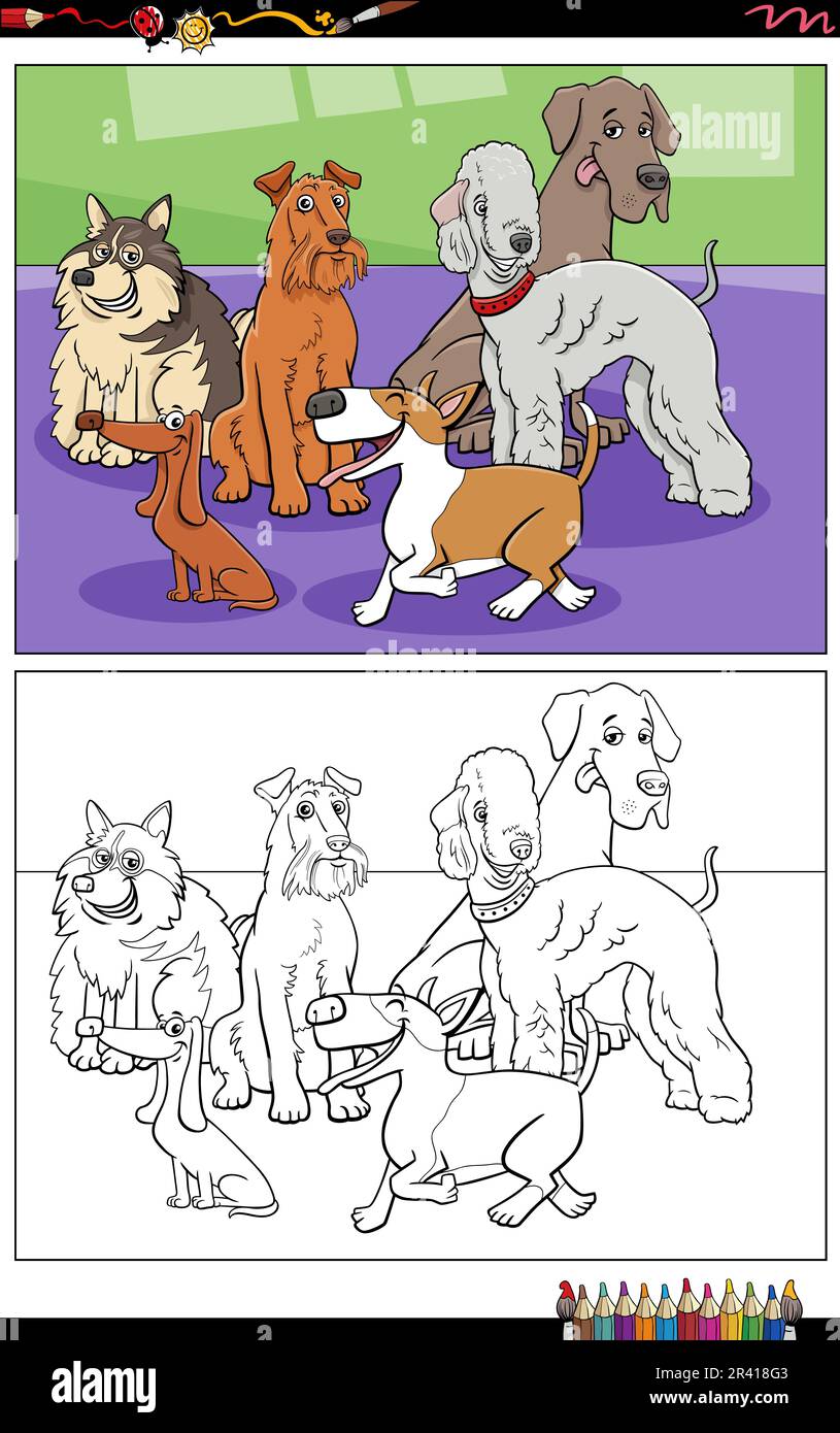 Cartoon illustrations of funny purebred dogs animal characters group coloring page Stock Photo