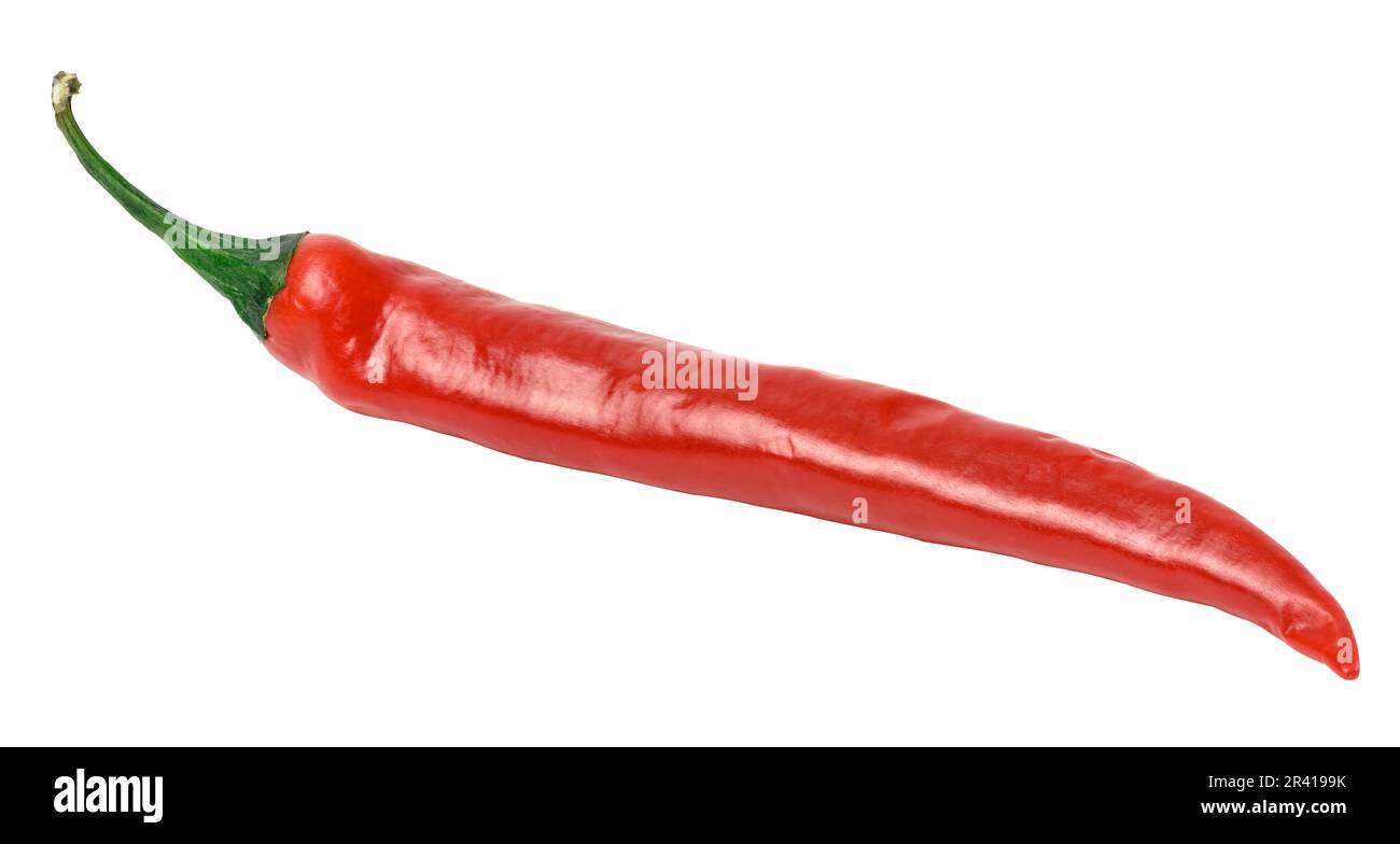 Fresh red hot pepper pod on a white isolated background, spice Stock Photo