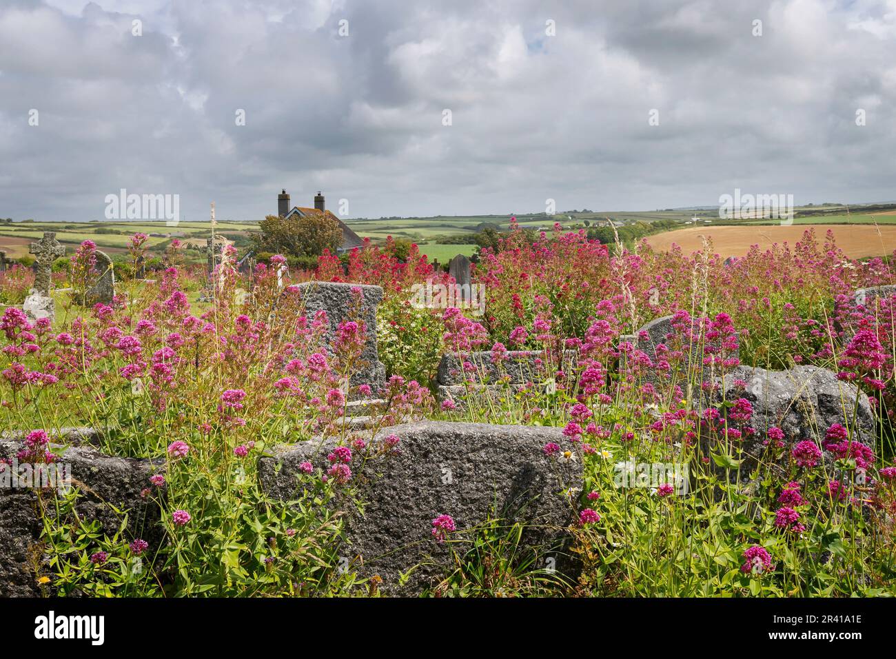 View from St. Merryn's graveyard, North Cornwall Stock Photo