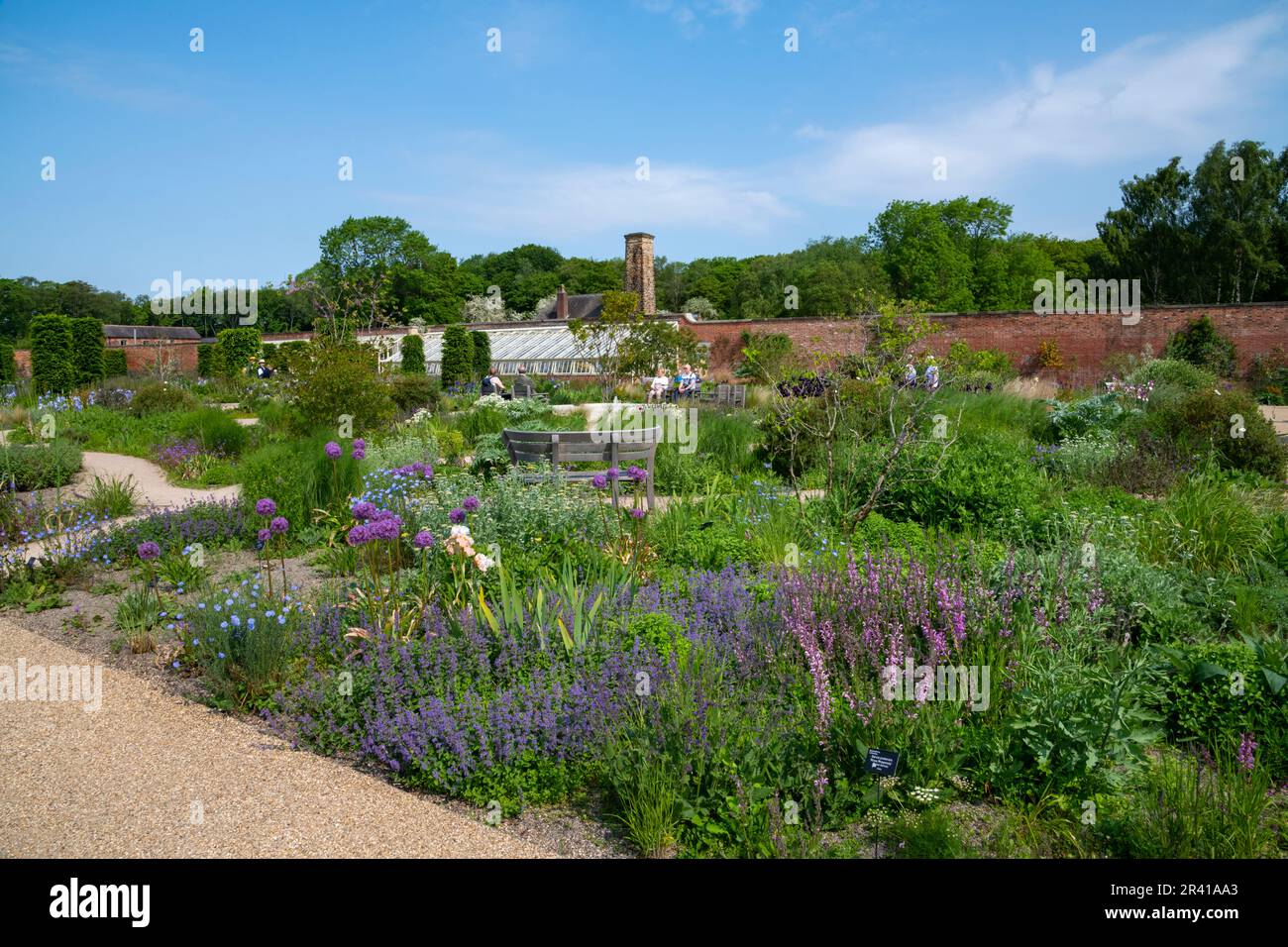 early-summer-in-the-paradise-garden-at-rhs-bridgewater-greater
