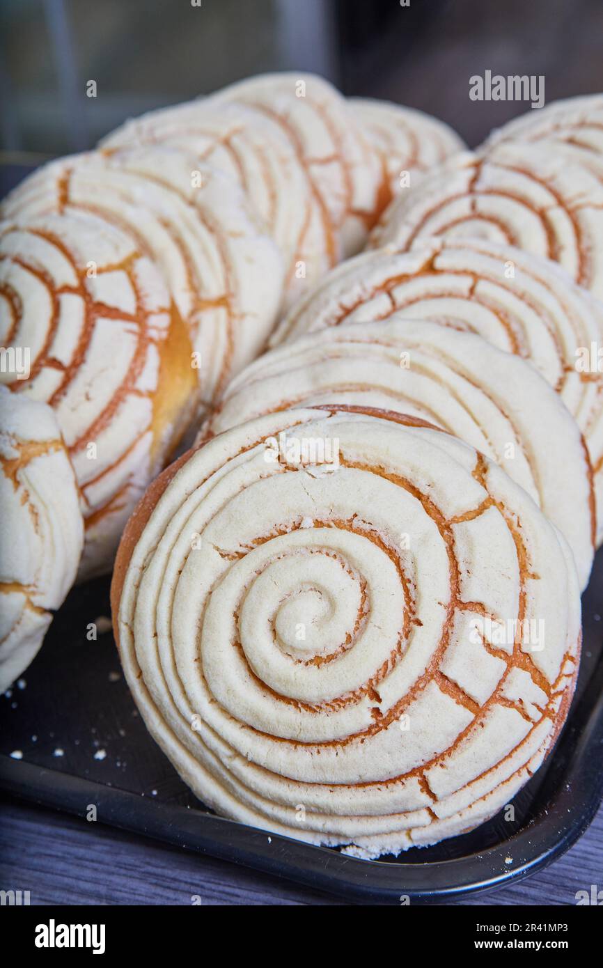 Vanilla white concha sea shell pattern frosting Mexican sweet bread