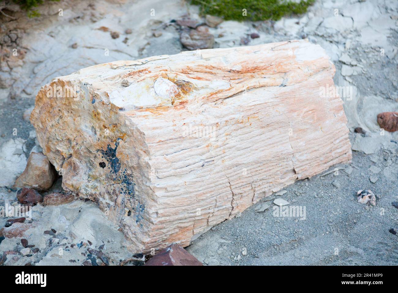La Leona petrified forest view, Patagonia, Argentina. Road to El