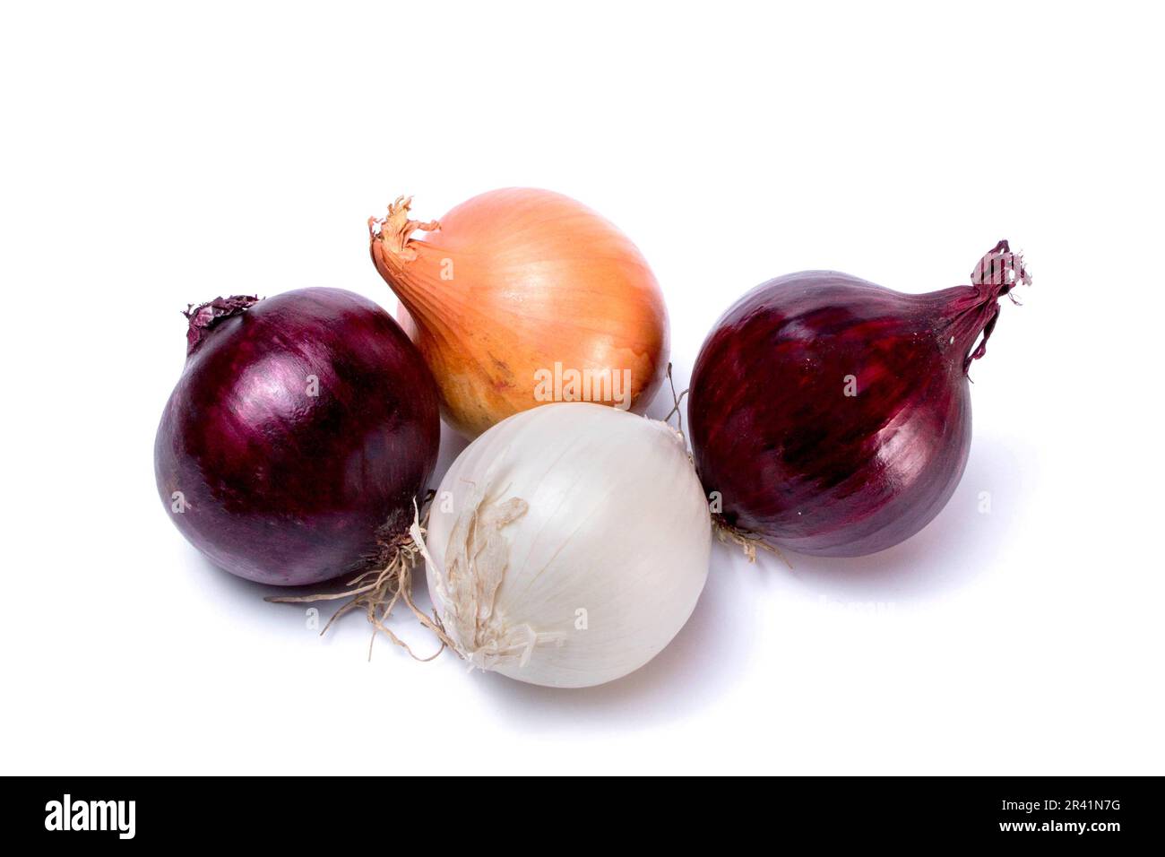 Different varieties of onions, red, white, golden isolated on a white ...