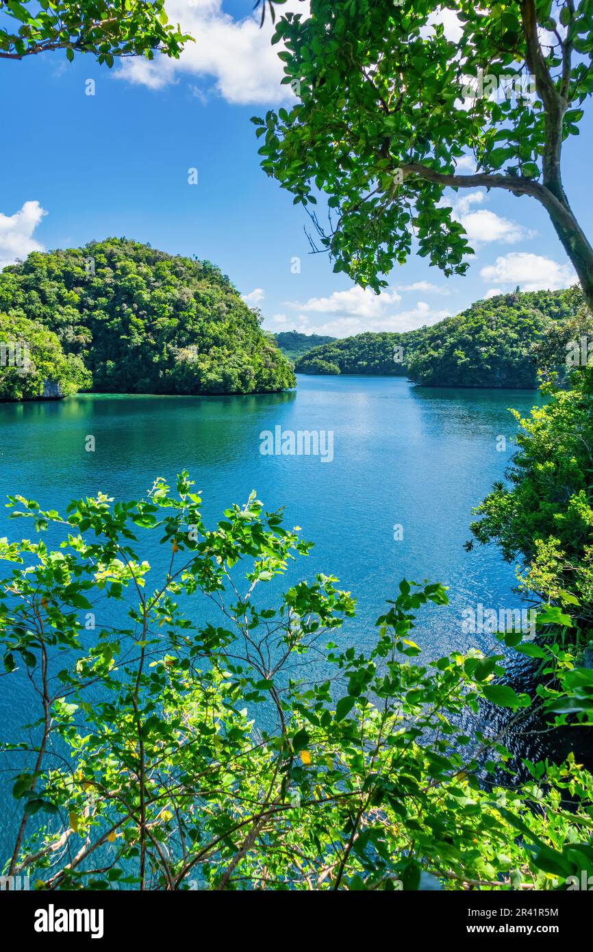 Rock Islands in Palau, Micronesia, Oceania, UNESCO World Heritage Site Stock Photo