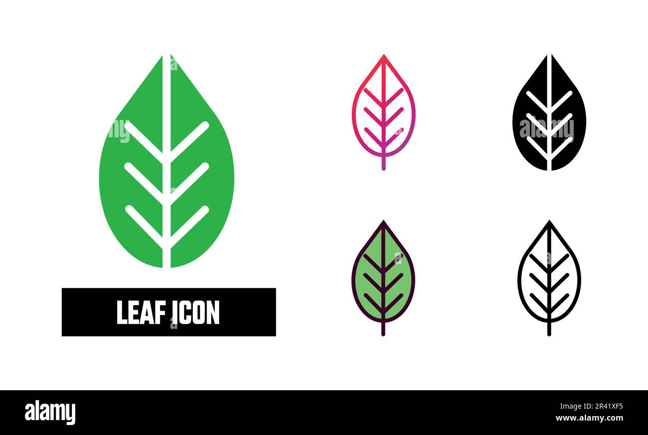 Leaf Icon Set Vector Illustration Stock Vector Image Art Alamy