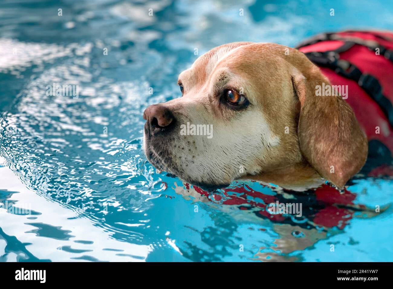 Swimming therapy hi-res stock photography and images - Alamy